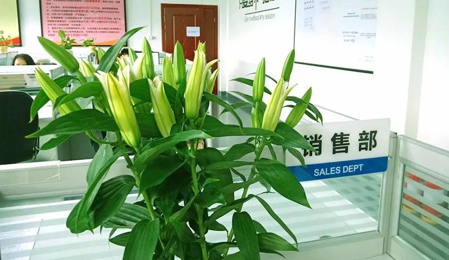 濃情七夕，最美祝福！